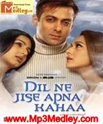 Dil Ne Jise Apna Kaha 2004